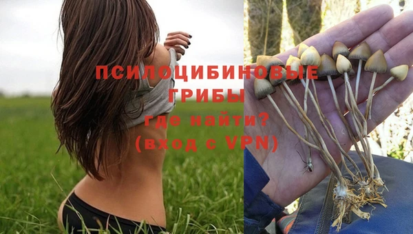 дурь Богородицк