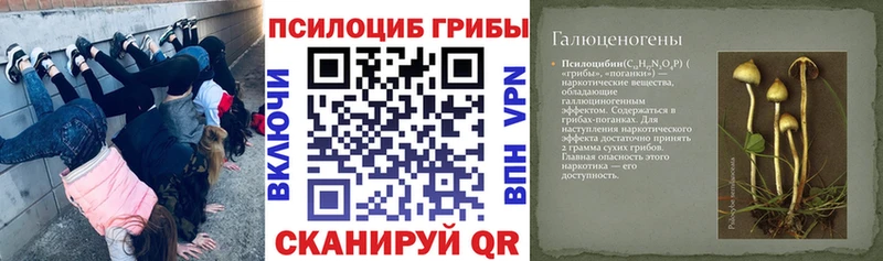 где купить наркоту  Красновишерск  Псилоцибиновые грибы Cubensis 